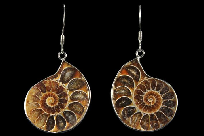 Fossil Ammonite Earrings - Million Years Old #112220